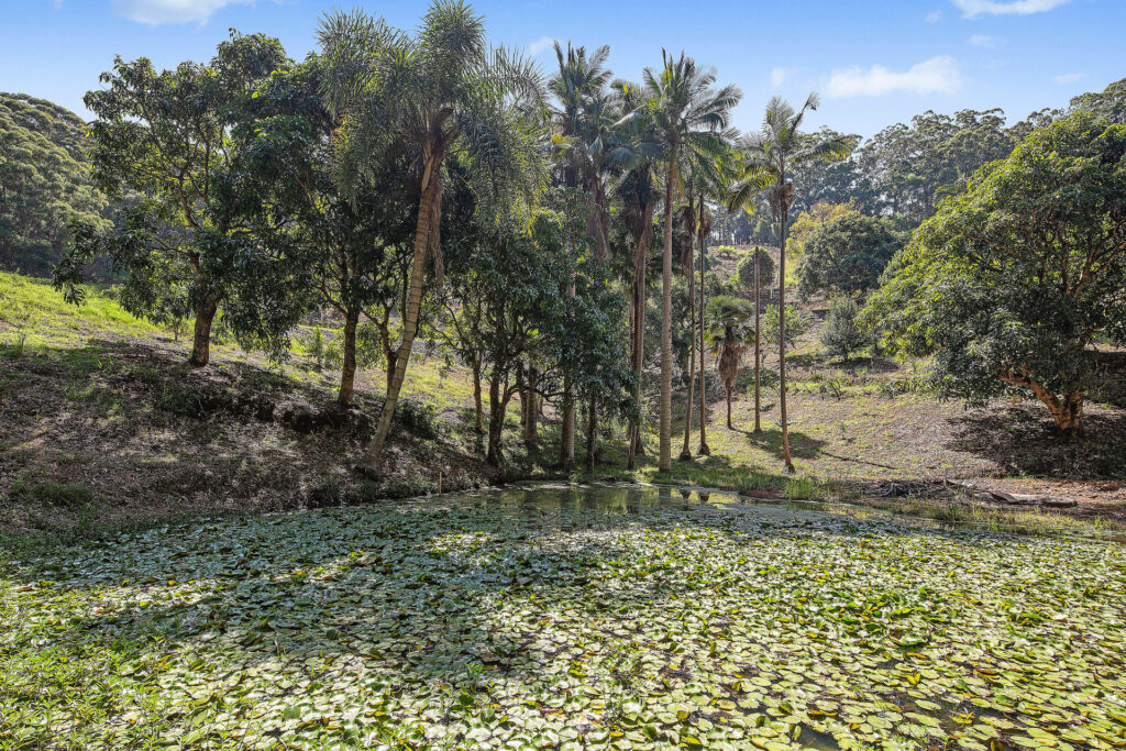 For Sale - 200D Ayrshire Park Drive - New Property in Boambee - Real Estate by Shayne Long