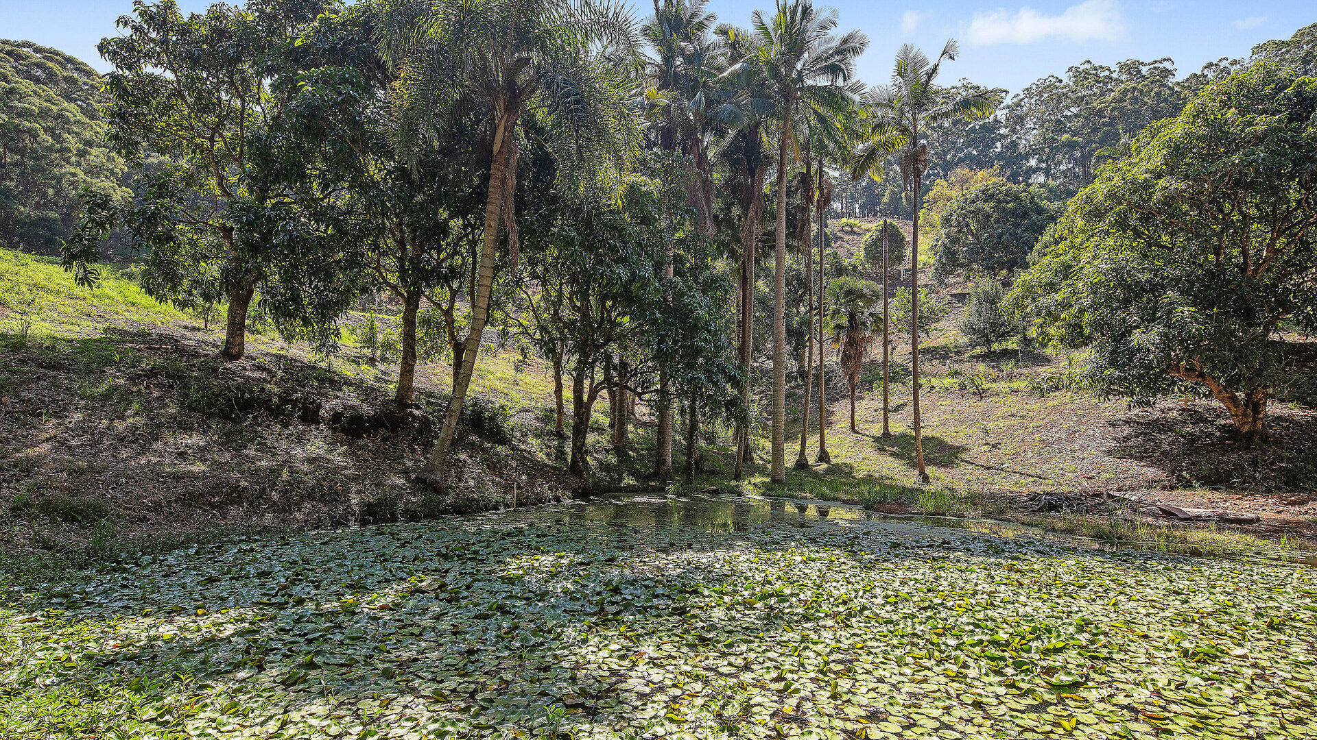 For Sale - 200D Ayrshire Park Drive - New Property in Boambee - Real Estate by Shayne Long