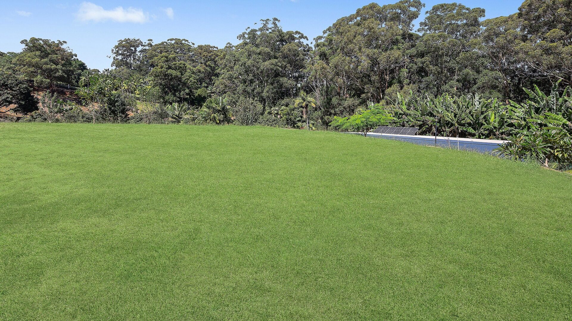 For Sale - 200D Ayrshire Park Drive - New Property in Boambee - Real Estate by Shayne Long