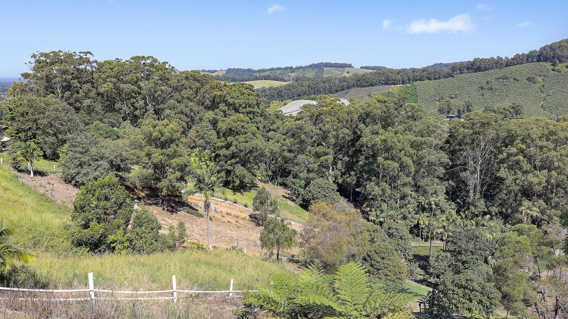 For Sale - 200D Ayrshire Park Drive - New Property in Boambee - Real Estate by Shayne Long
