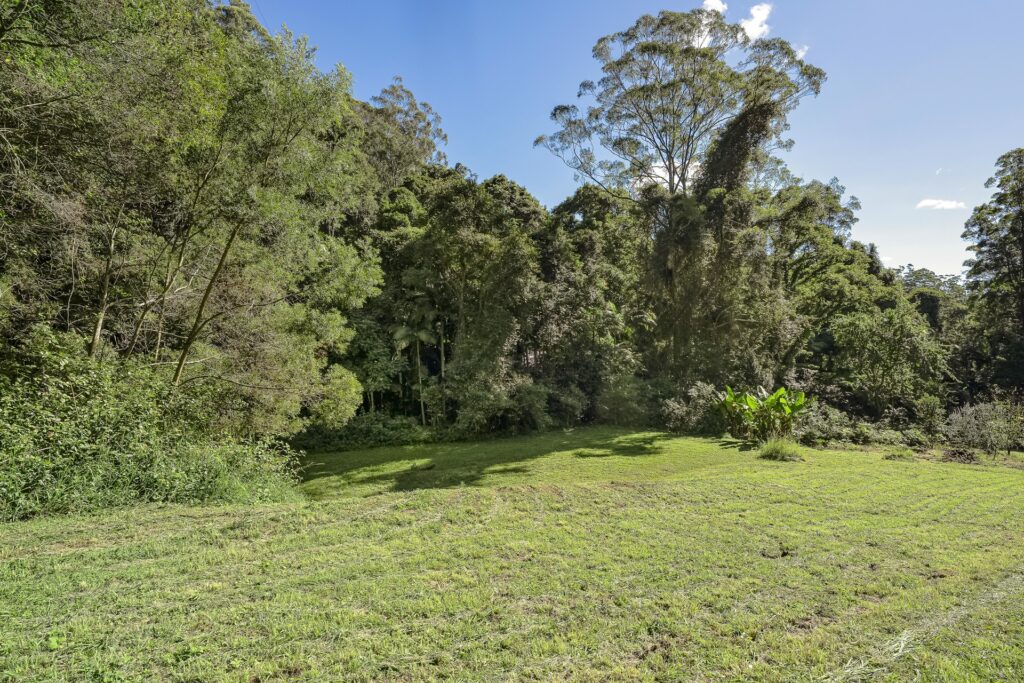 Sold - 128G Fridays Creek Road - New Property in Upper Orara - Real Estate by John Hall