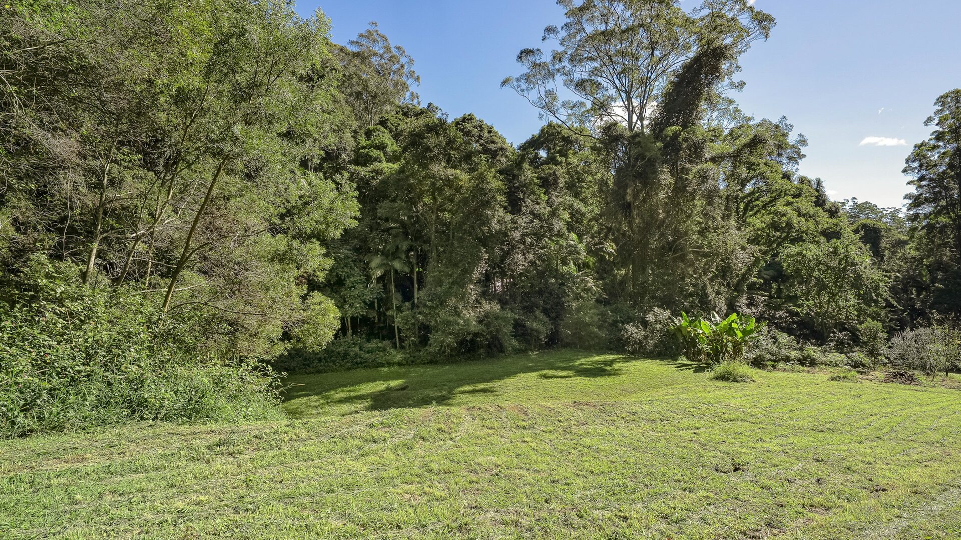 Sold - 128G Fridays Creek Road - New Property in Upper Orara - Real Estate by John Hall