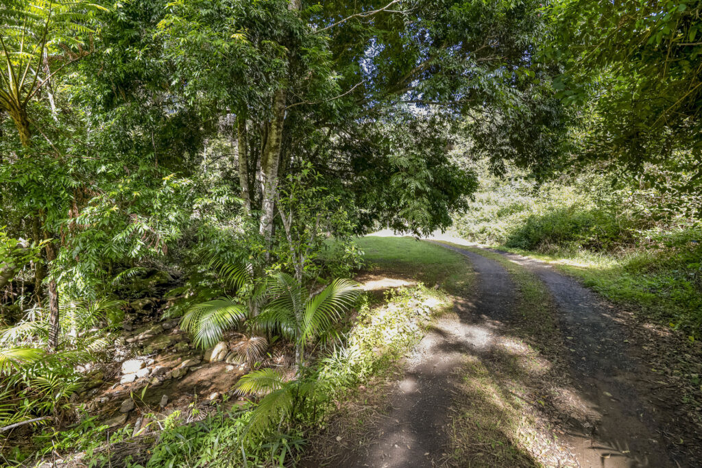 Sold - 128G Fridays Creek Road - New Property in Upper Orara - Real Estate by John Hall