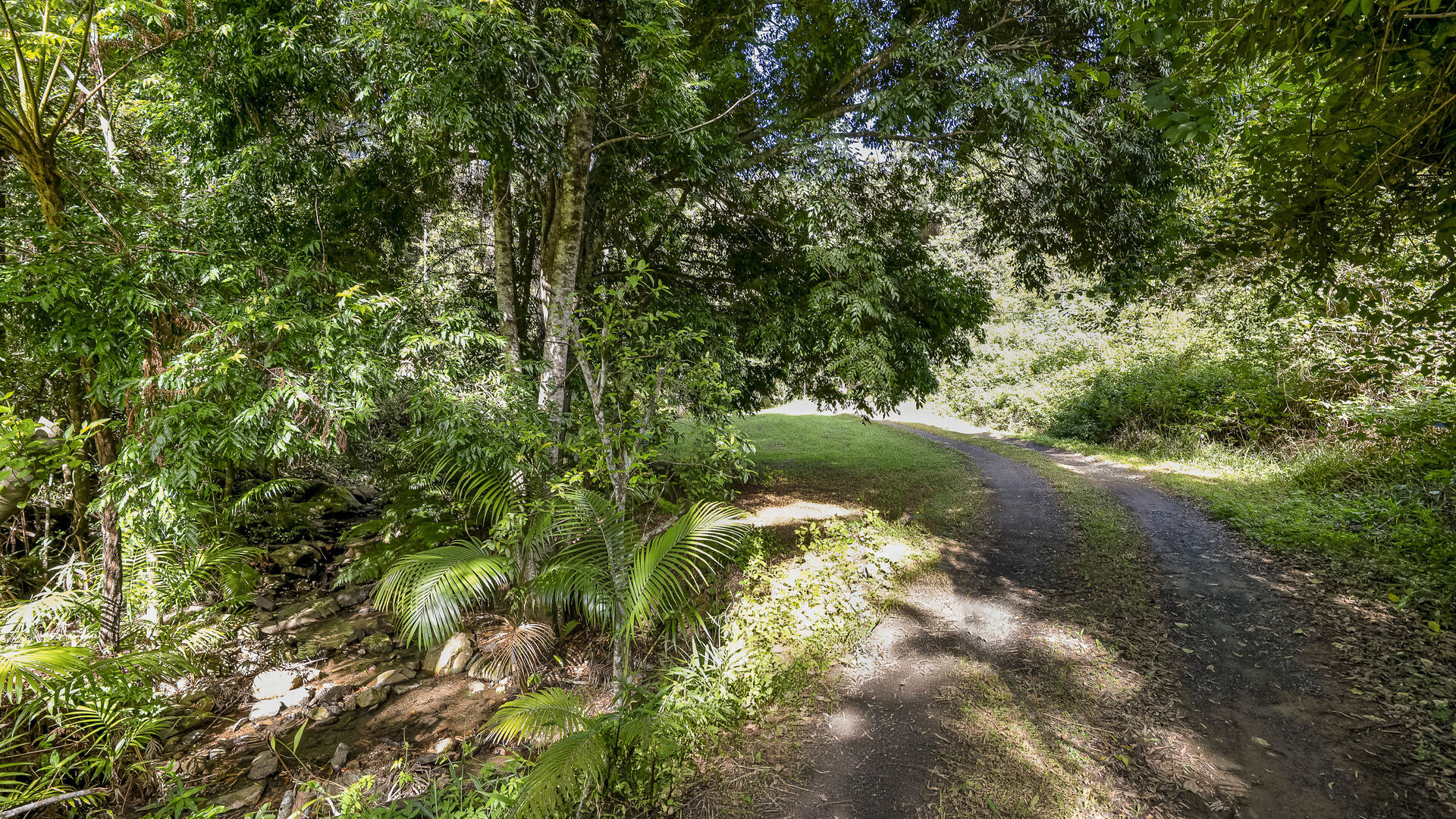 Sold - 128G Fridays Creek Road - New Property in Upper Orara - Real Estate by John Hall