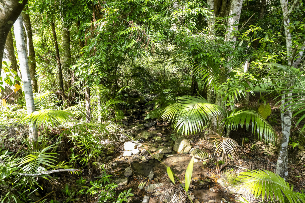 Sold - 128G Fridays Creek Road - New Property in Upper Orara - Real Estate by John Hall