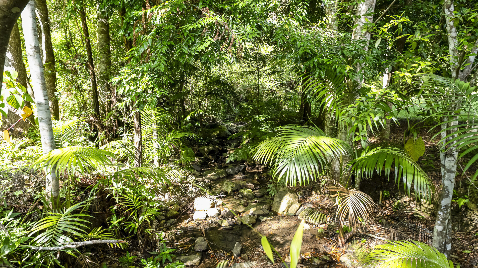Sold - 128G Fridays Creek Road - New Property in Upper Orara - Real Estate by John Hall