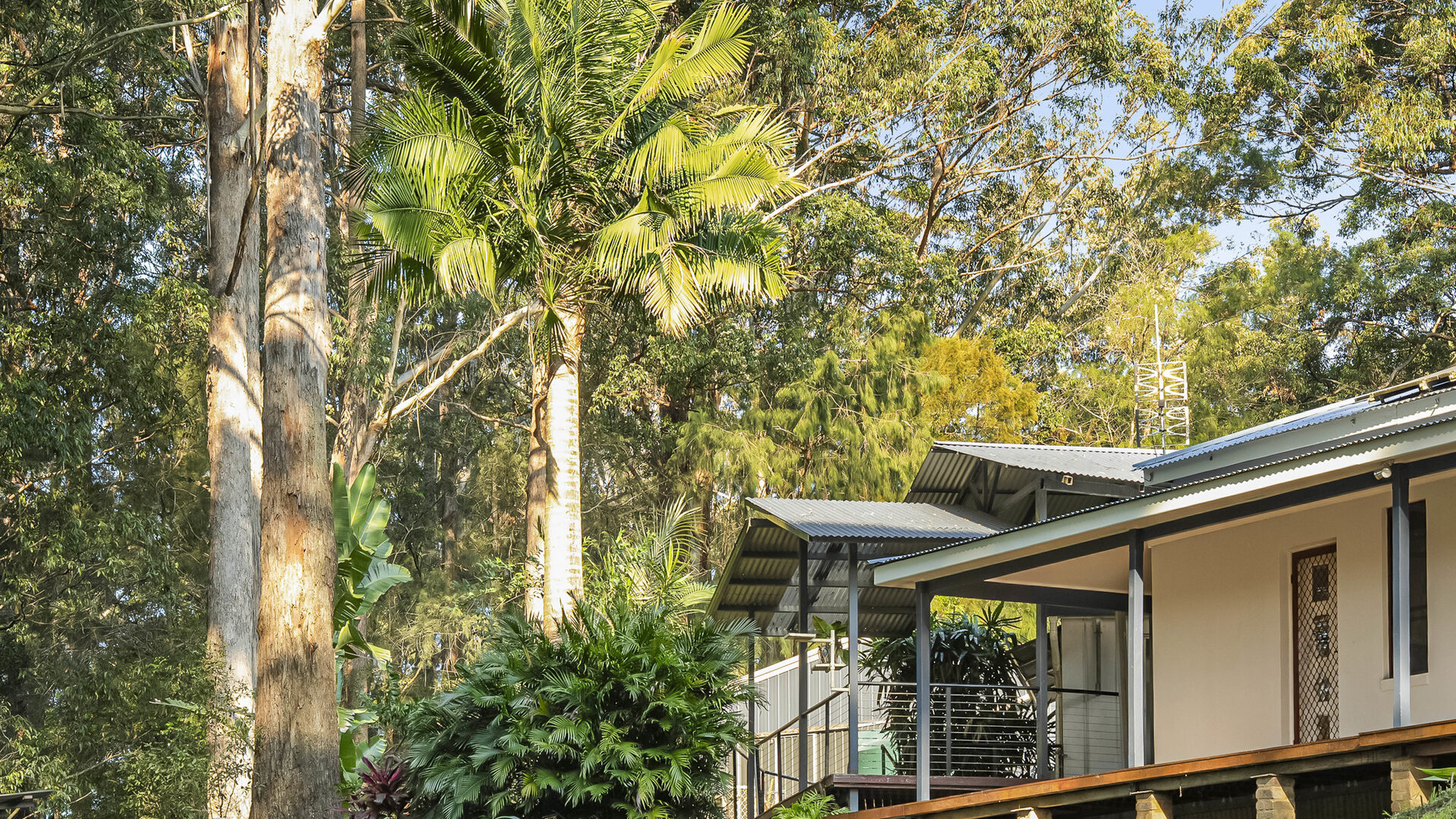 Auction - 73 Forest Drive - New Property in Repton - Real Estate by Joshua Allen