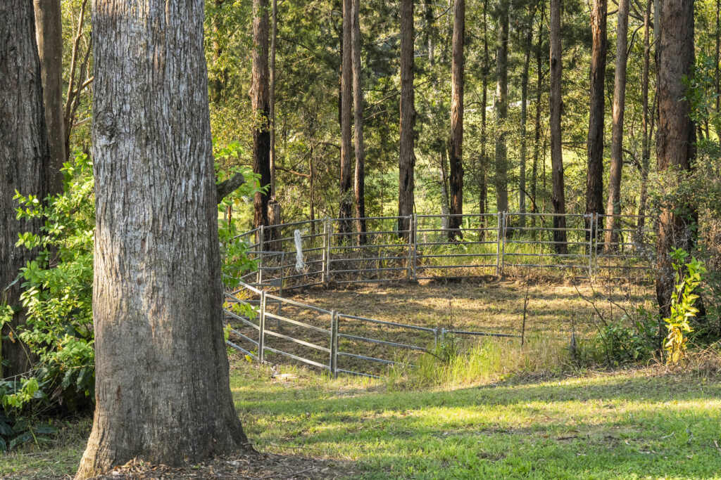 Auction - 73 Forest Drive - New Property in Repton - Real Estate by Joshua Allen