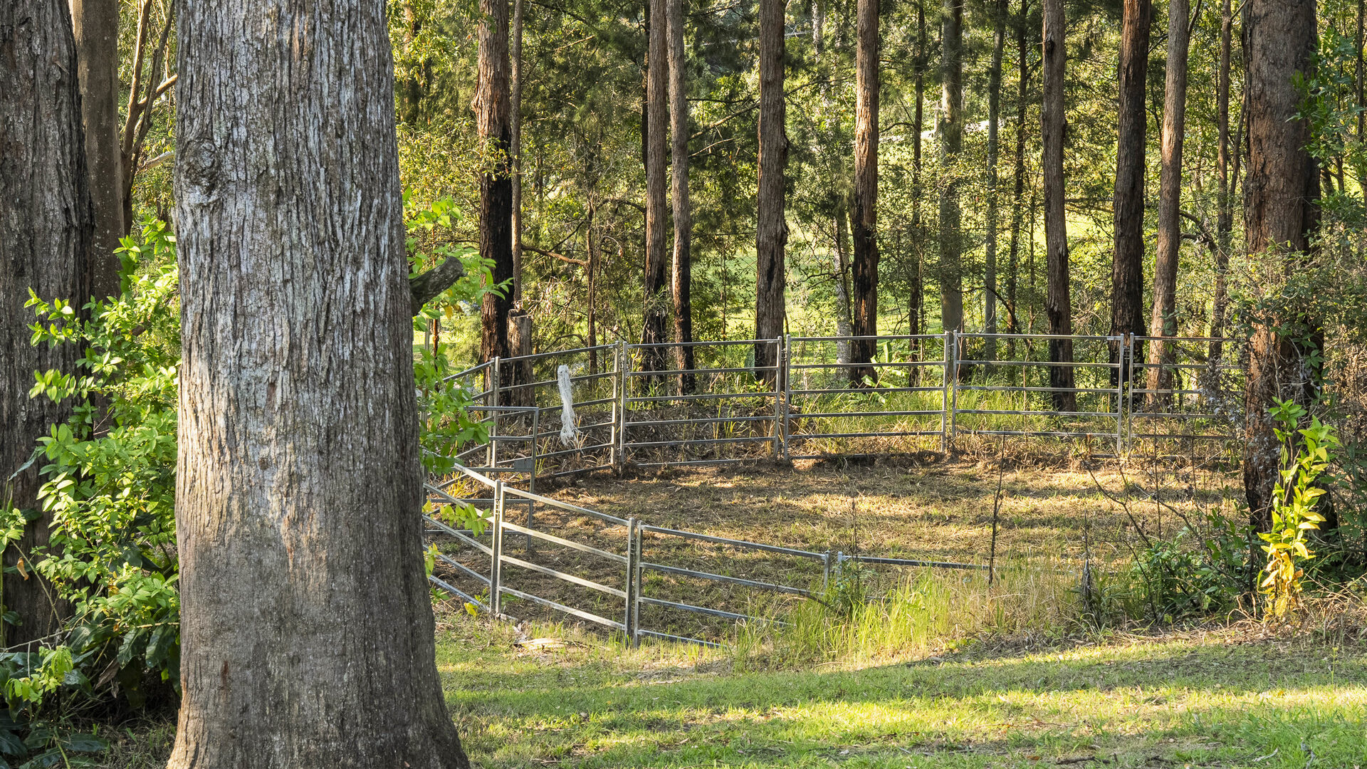 Auction - 73 Forest Drive - New Property in Repton - Real Estate by Joshua Allen