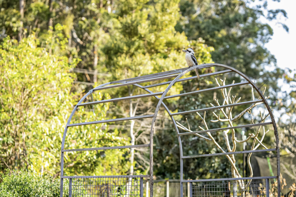Auction - 73 Forest Drive - New Property in Repton - Real Estate by Joshua Allen
