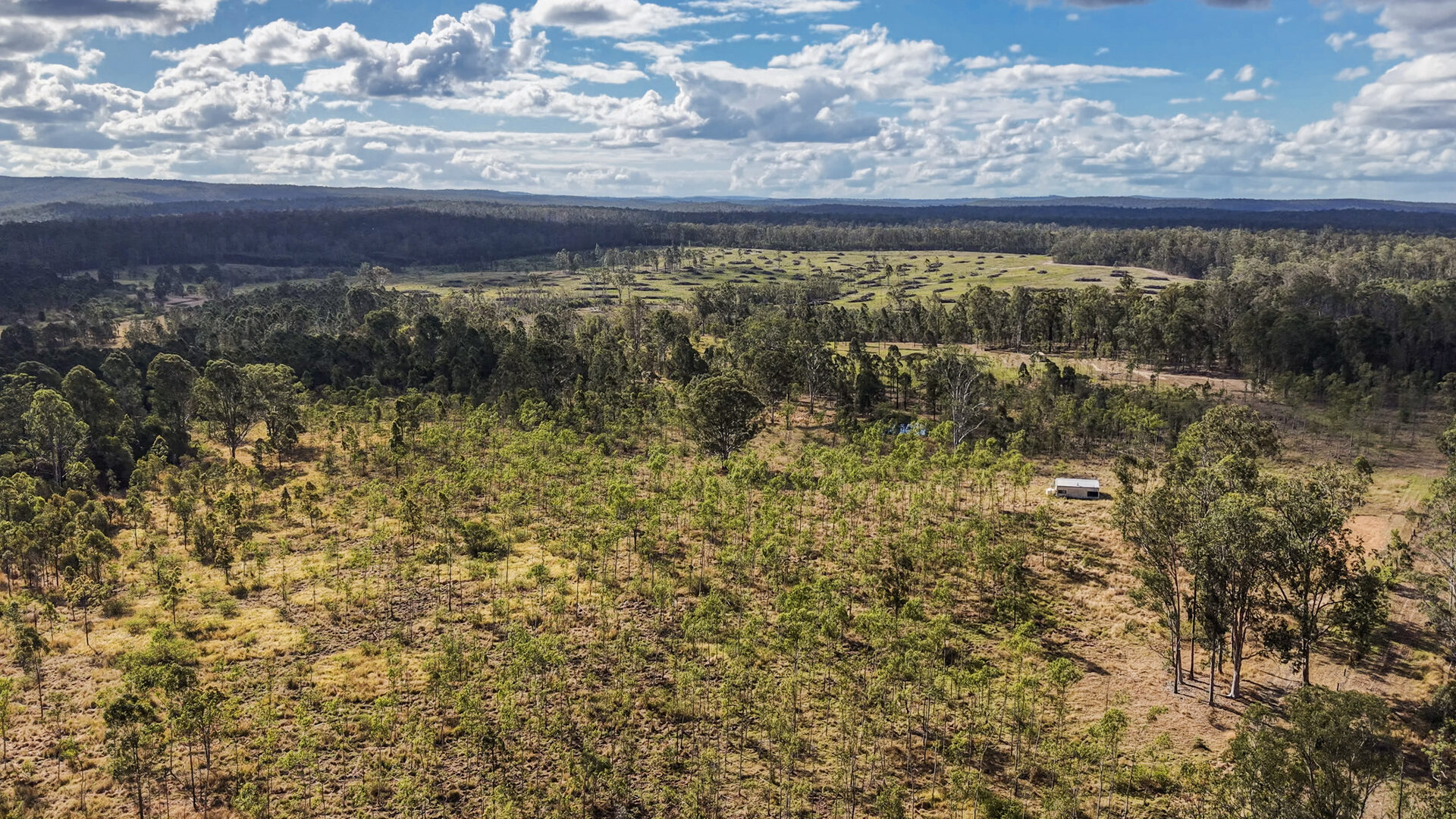 For Sale - 275 Clarks Road - New Property in Wyan - Real Estate by Rebecca Harrington