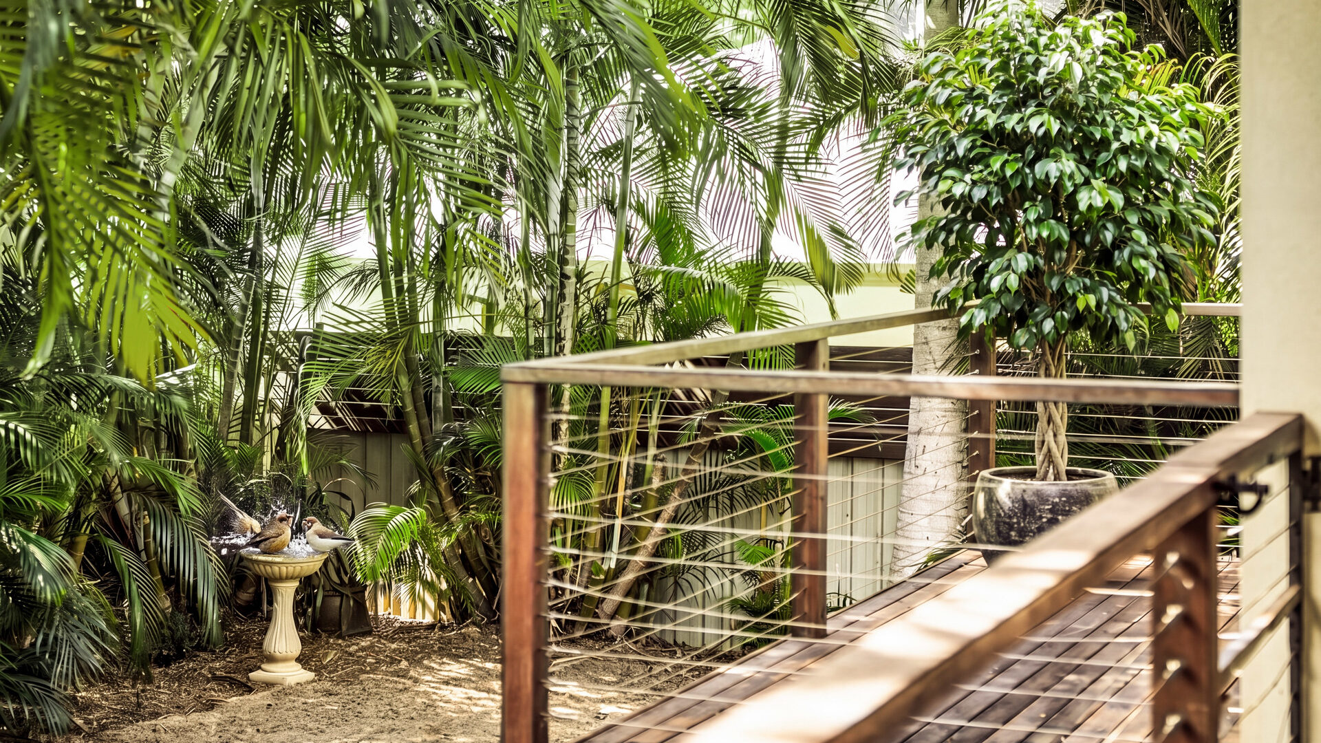 Auction - 1 Fernleigh Avenue - New Property in Korora - Real Estate by Joshua Allen