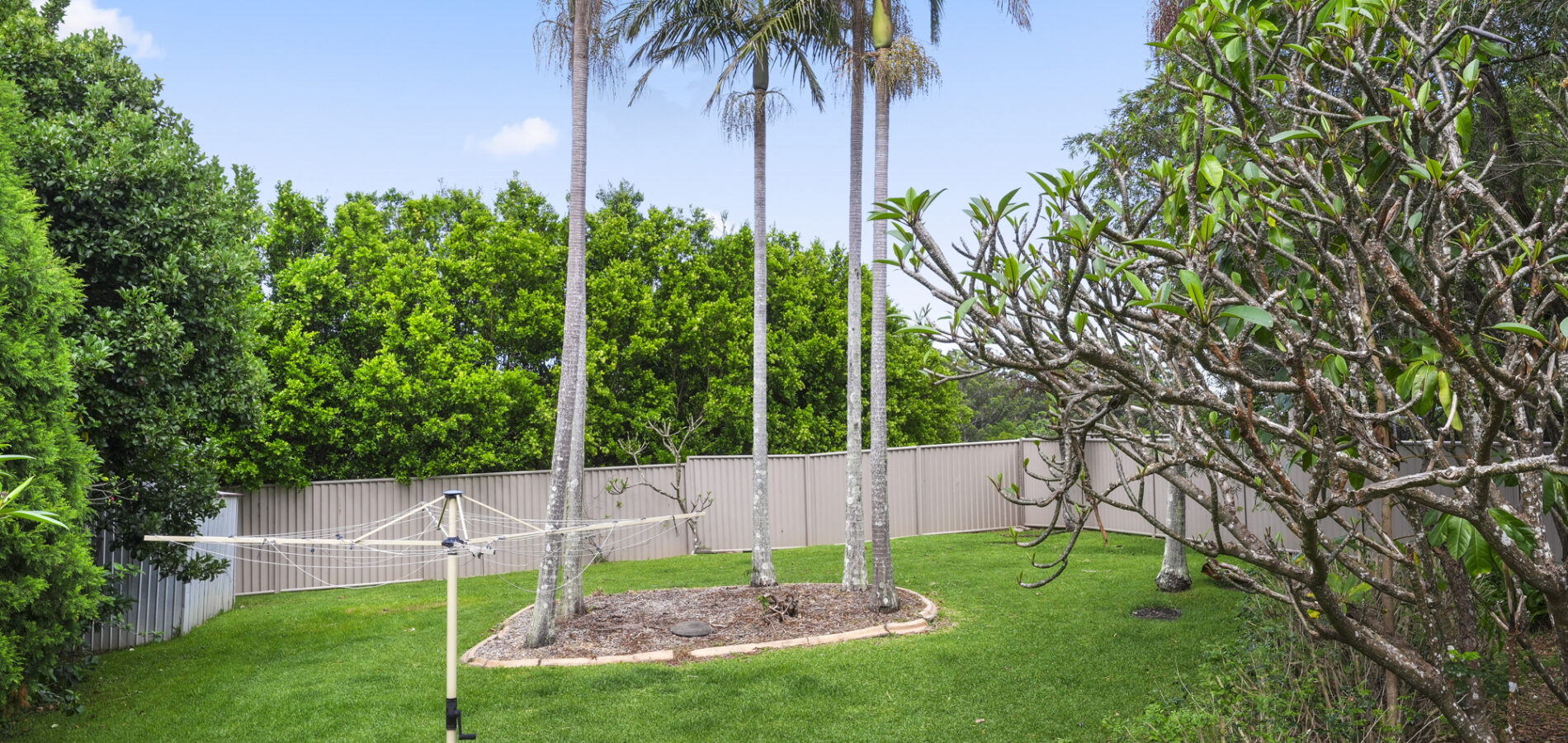 Leased - 17 Ramornie Drive - New Property in TOORMINA - Real Estate by Ella Palmer