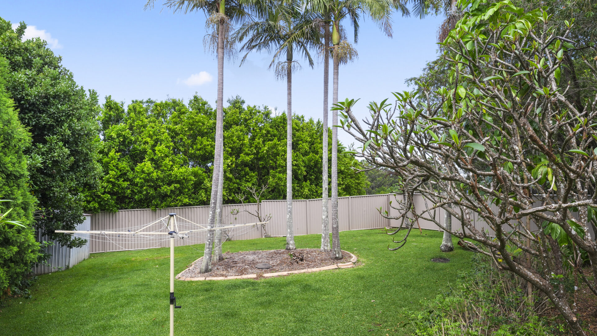 Leased - 17 Ramornie Drive - New Property in TOORMINA - Real Estate by Ella Palmer