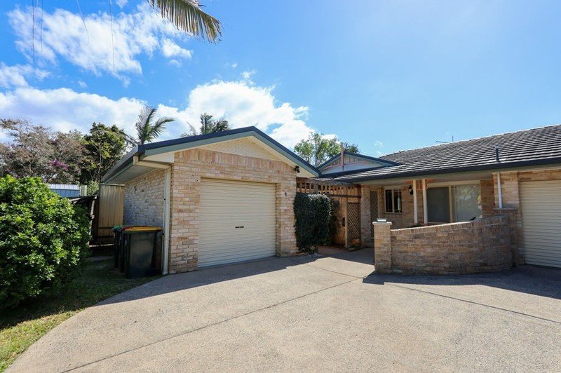 1/6 Cocos Palm Close